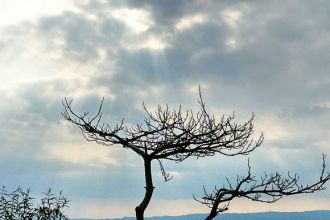 �Լ����|�⹦Ҳ�����������U��һ��(g��)�W(xu��)���h����Ě⹦��(sh��)��֮·