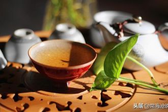 �\Ҋ(ji��n)�����t(y��)��һֱ�IЦ���t(y��)�����W(xu��)��С�Ӳ��Ŝ\Փ���t(y��)��(du��)����������(x��)����Ѫ��