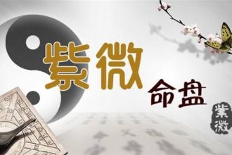 �\Մ����W�е�һ�N�g��-��΢����